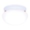 Westinghouse Westinghouse 4-3/8 in. H X 7-1/4 in. W X 7.25 in. L Ceiling Light 6669948 - alternate 1